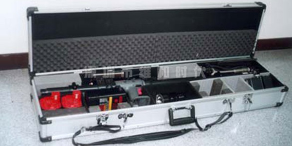 PROEYE 951-S進(jìn)口生命探測(cè)儀